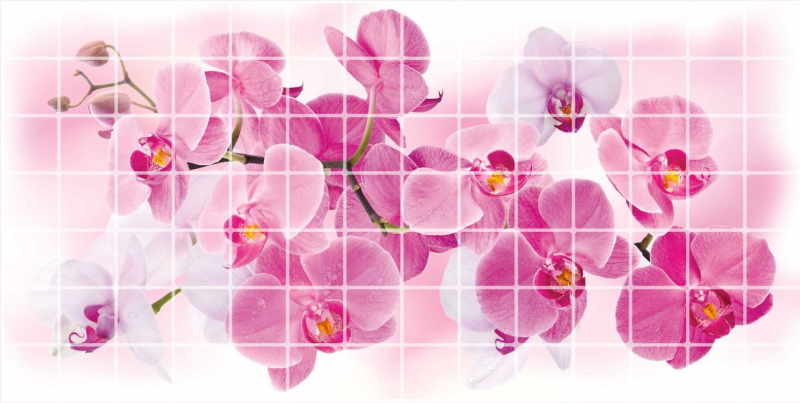 Dekoračné interiérový ​​panel Rosea Orchid