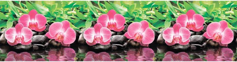 Kuchyňský ABS panel Orchid