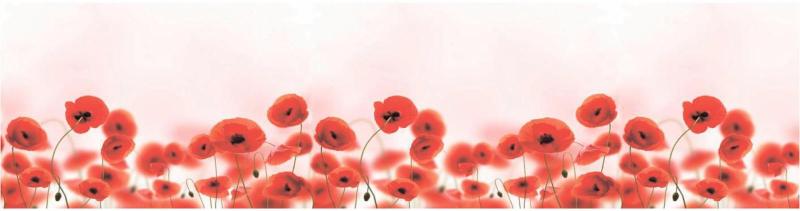 Kuchyňský ABS panel Poppies